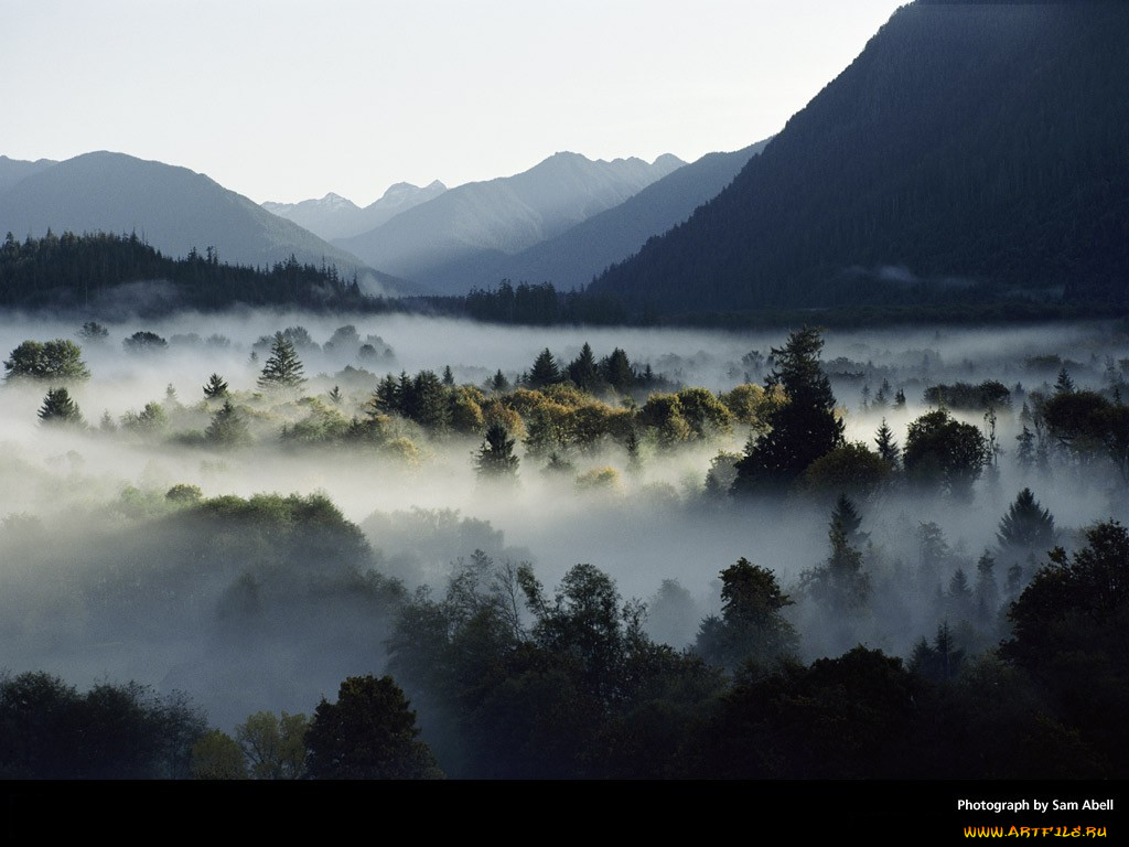 Geogs. Олимпик-Маунтинс. Sam Abell. Серпанок це. National Geographic Mountain.